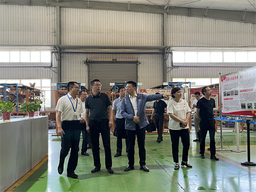 市委實(shí)踐活動(dòng)工作專班到萬洲調(diào)研3.jpg